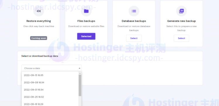 hPanel 上的文件备份菜单