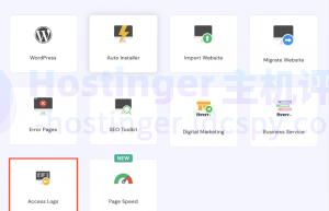 hPanel显示在哪里可以找到访问日志