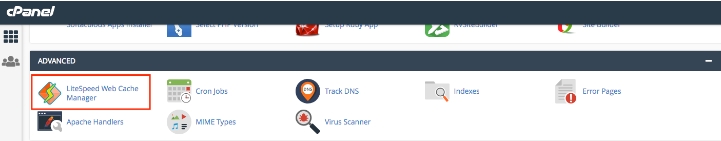 LiteSpeed Web缓存管理器