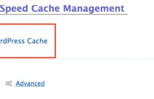 LiteSpeed Web缓存管理器
