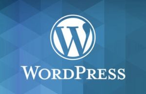 WordPress主机配置