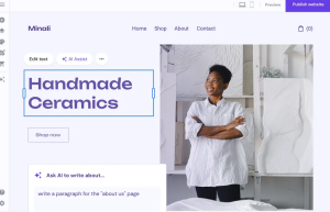 Hostinger建站助手常见问题