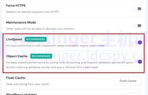 对象缓存自动启用