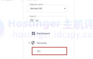 搜索SSL并打开其设置