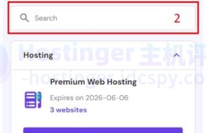 Hostinger hPanel面板