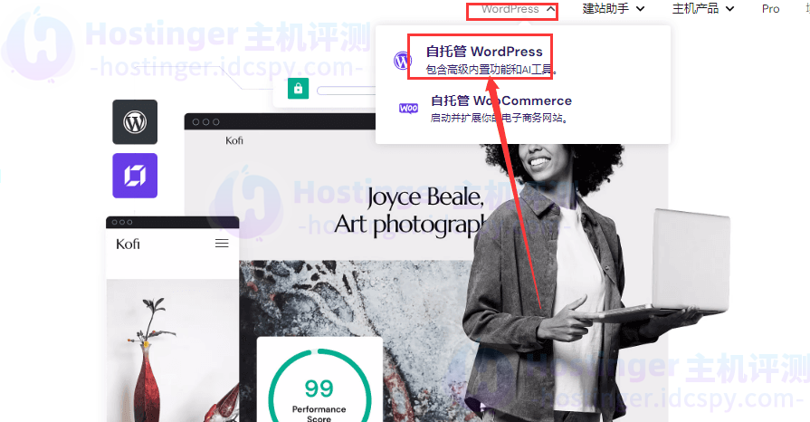 购买Hostinger WordPress主机
