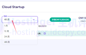 Hostinger云主机使用优惠码教程