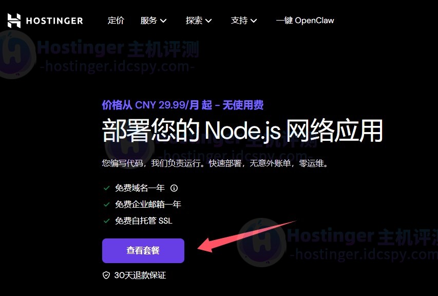 购买Hostinger Node.js主机