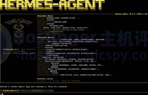 访问Hermes Agent