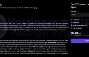 Hostinger Hermes Agent VPS